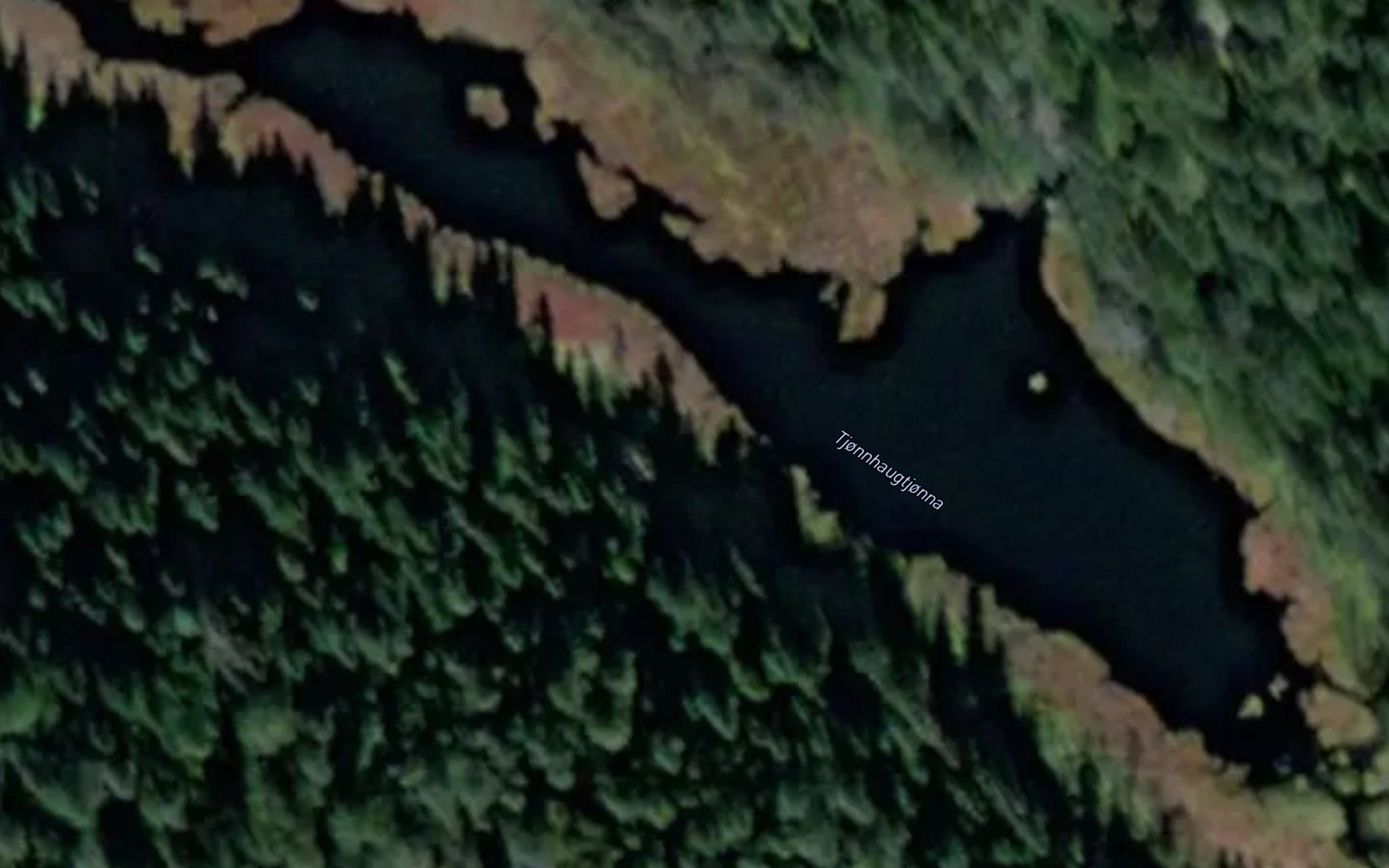 Tjonnhaugtjonna