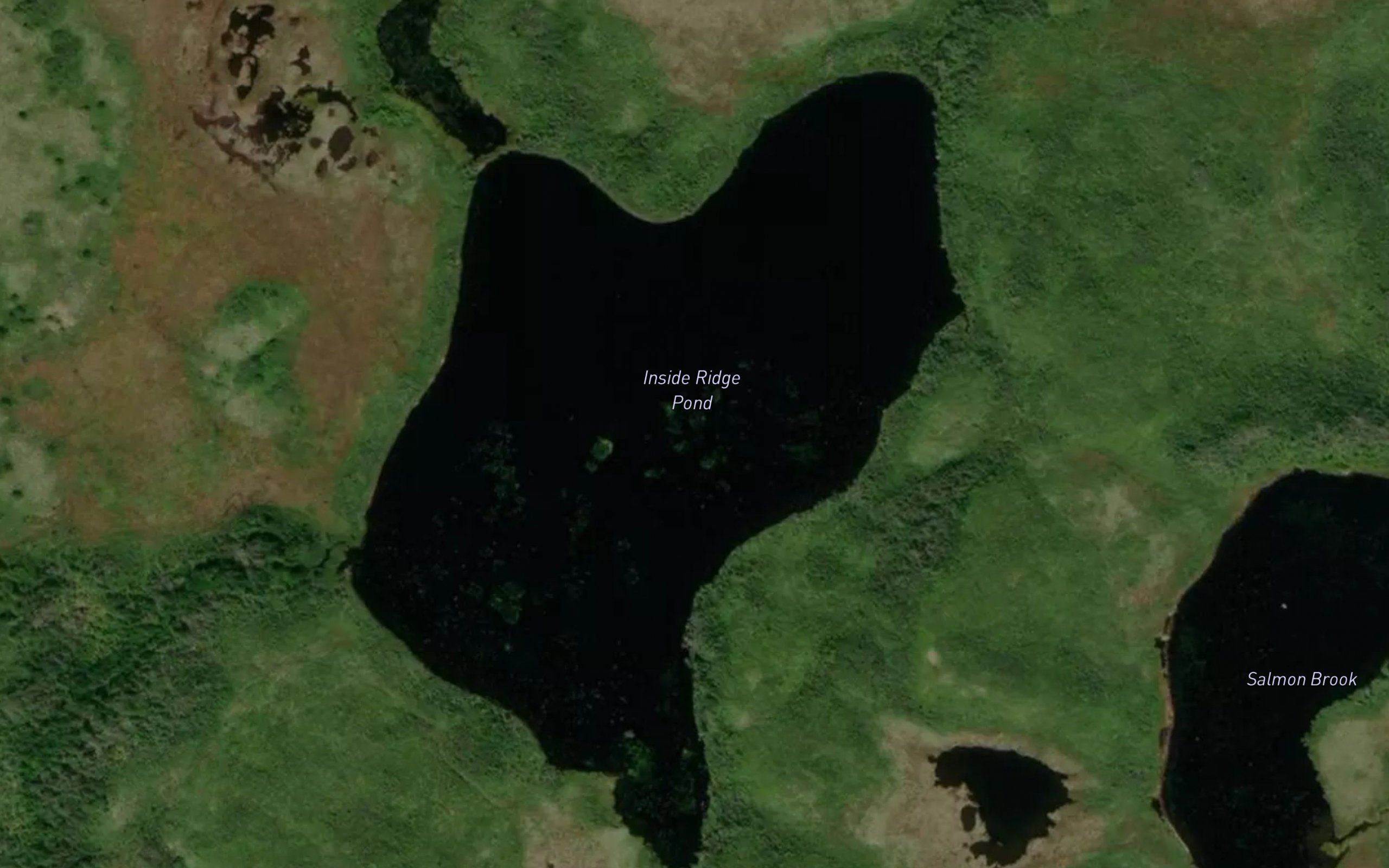 Inside Ridge Pond