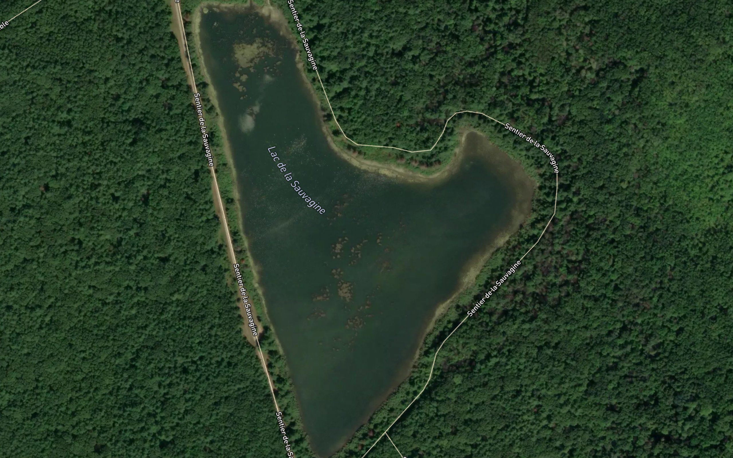Lac de la Sauvagine