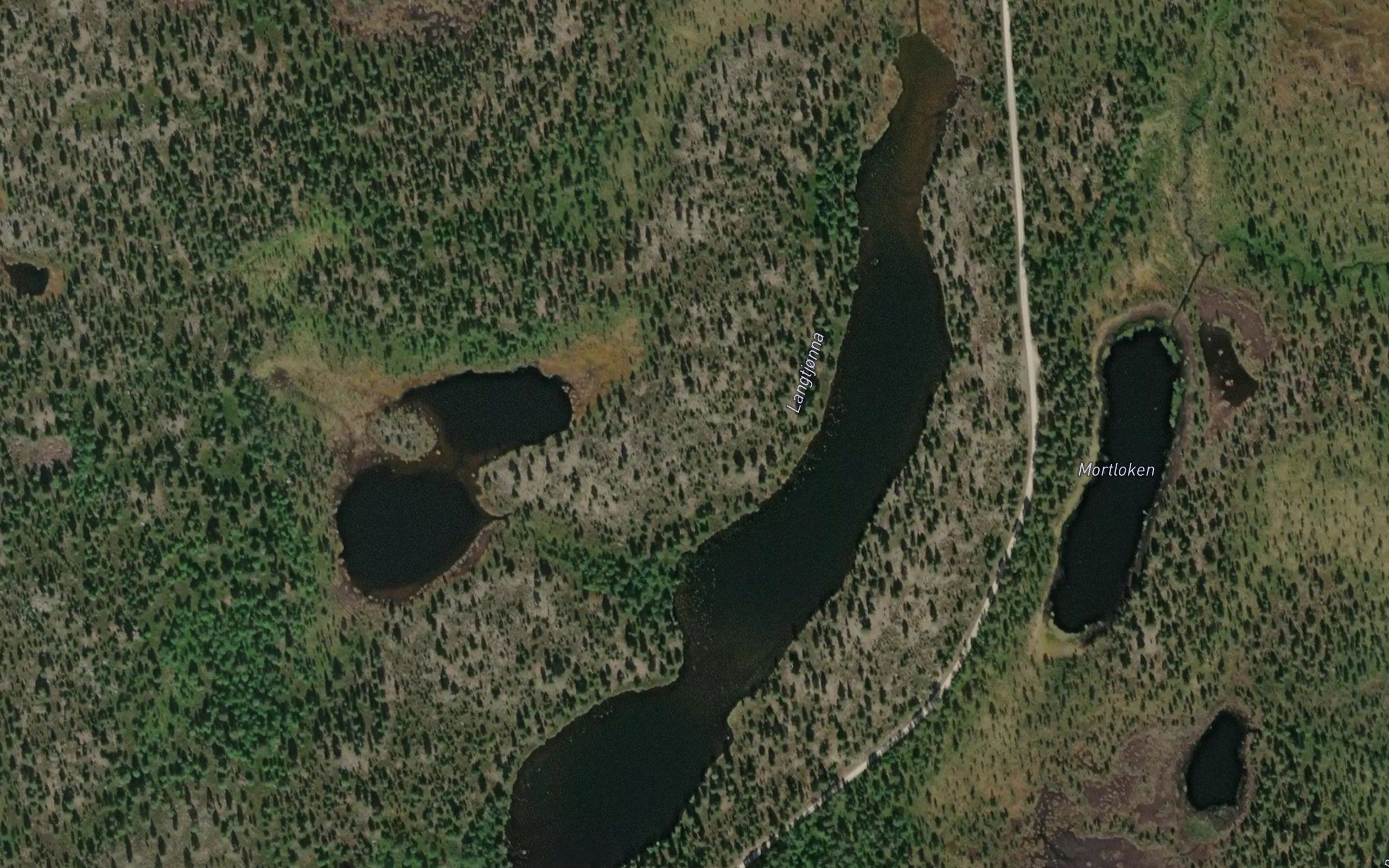 Langtjorn