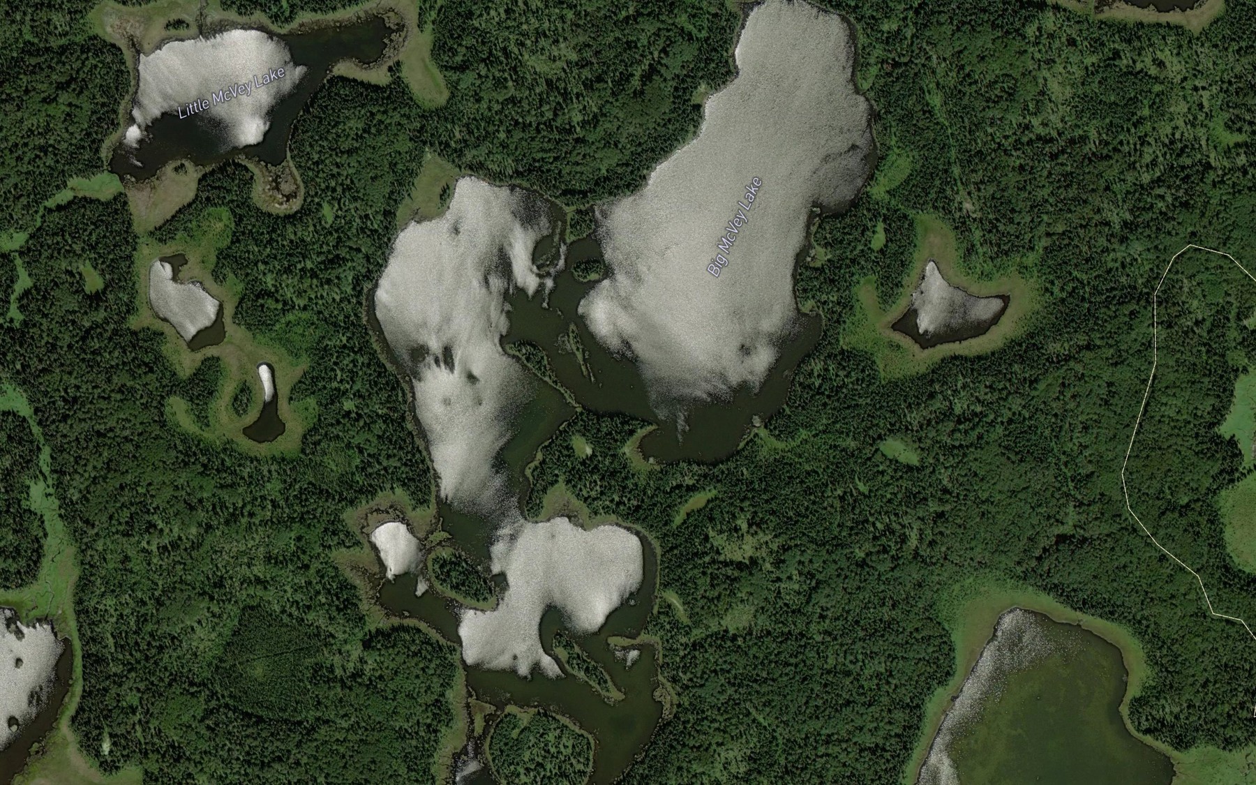 Satellite map of the Big McVey Lake