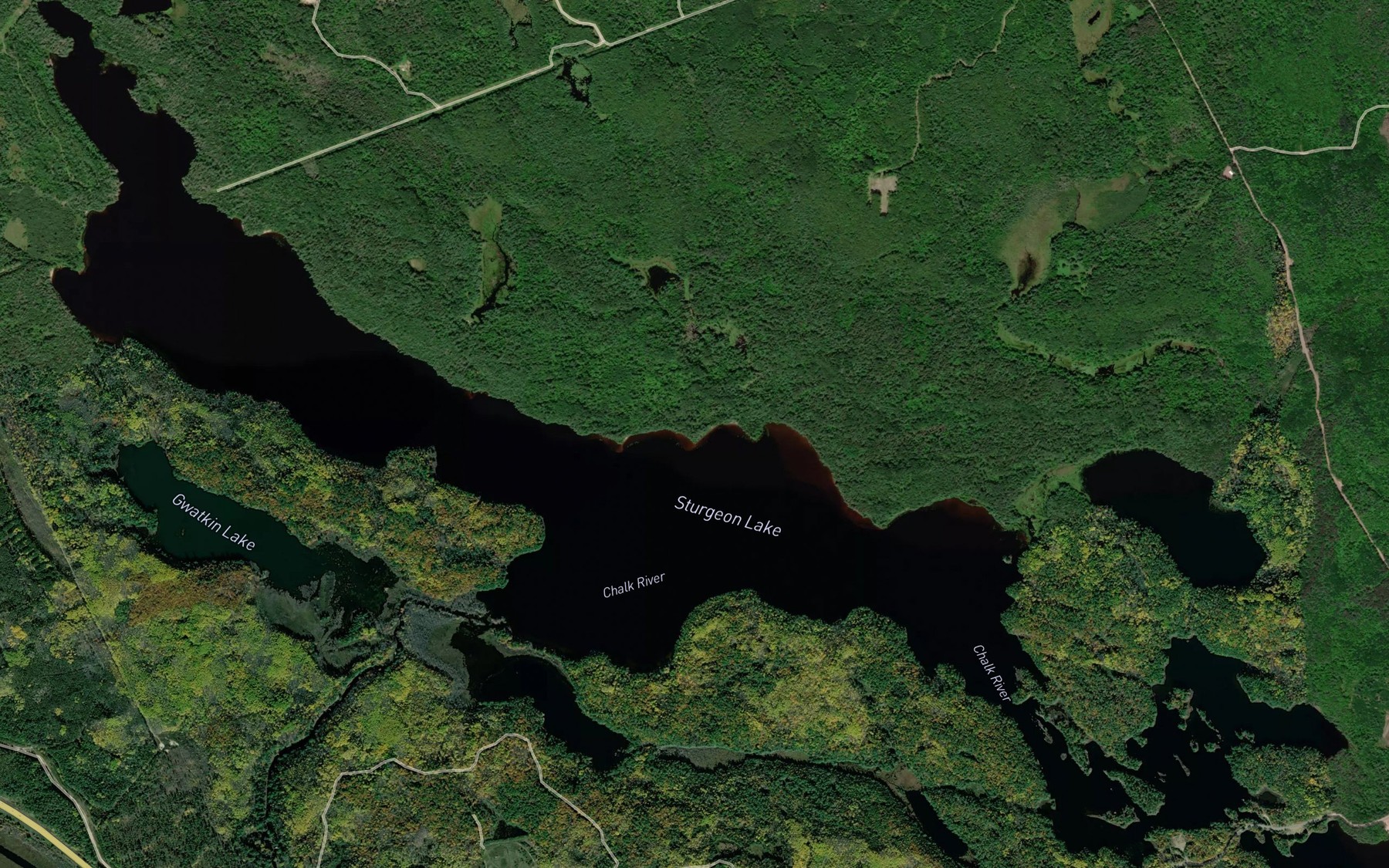 Satellite map of the Sturgeon Lake