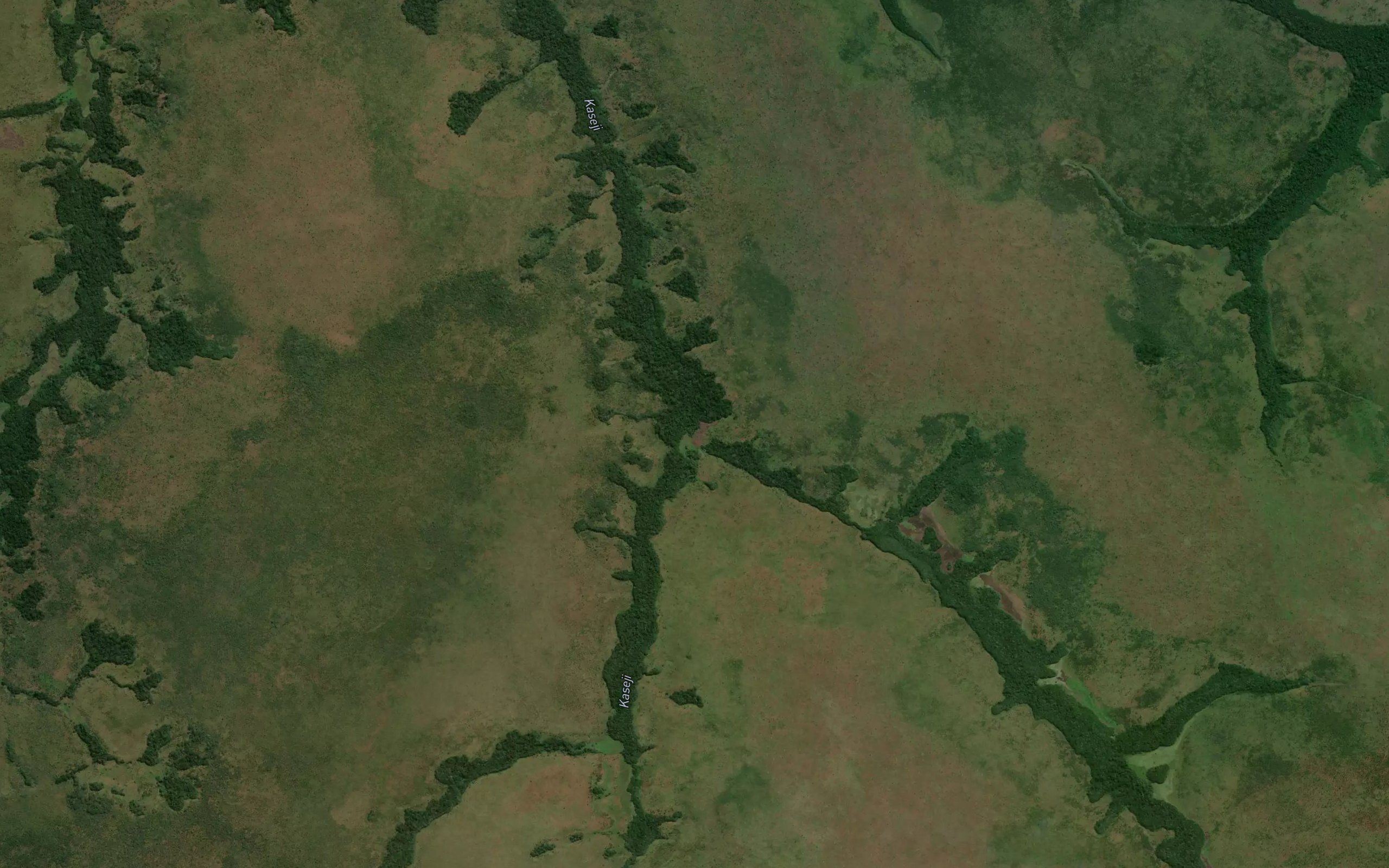 Kadiamatamba