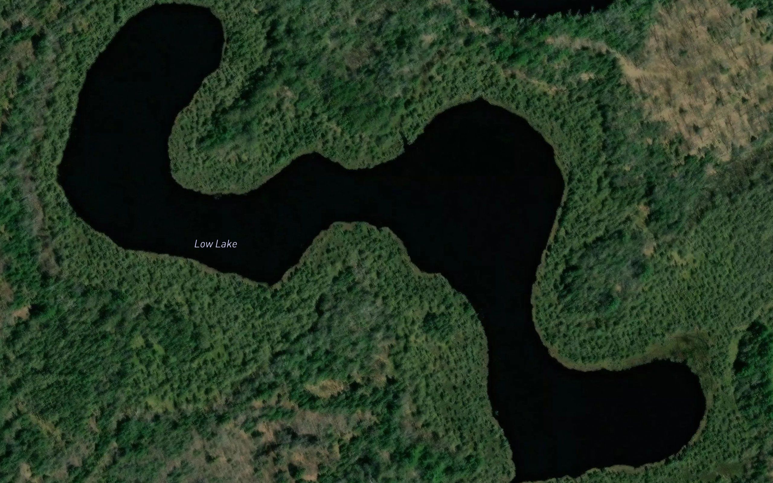 Low Lake