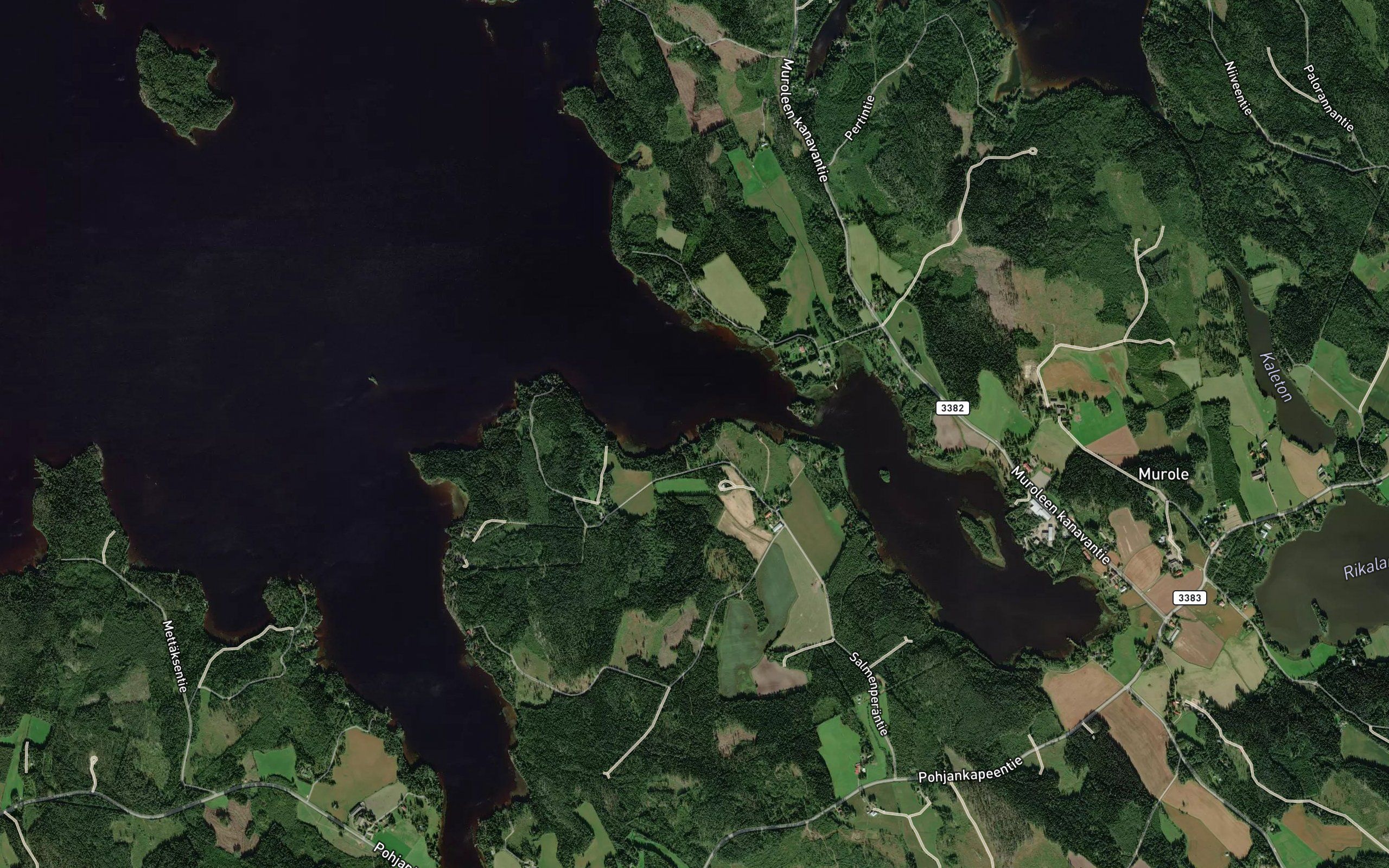 Tiituslahti