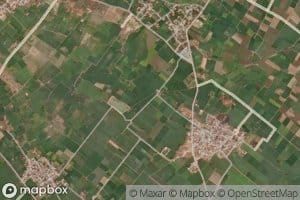 Kaonra Cut