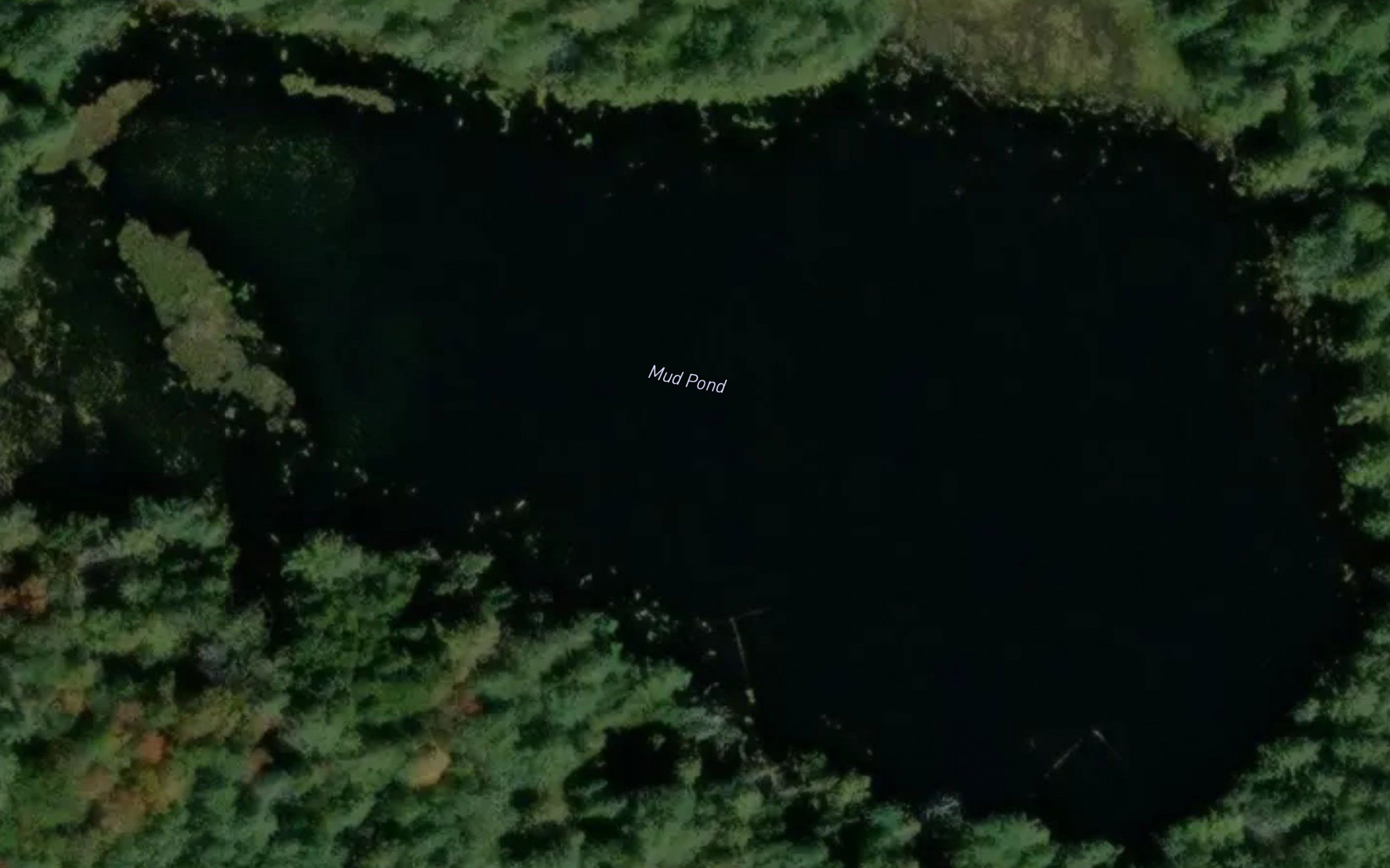 Mud Pond