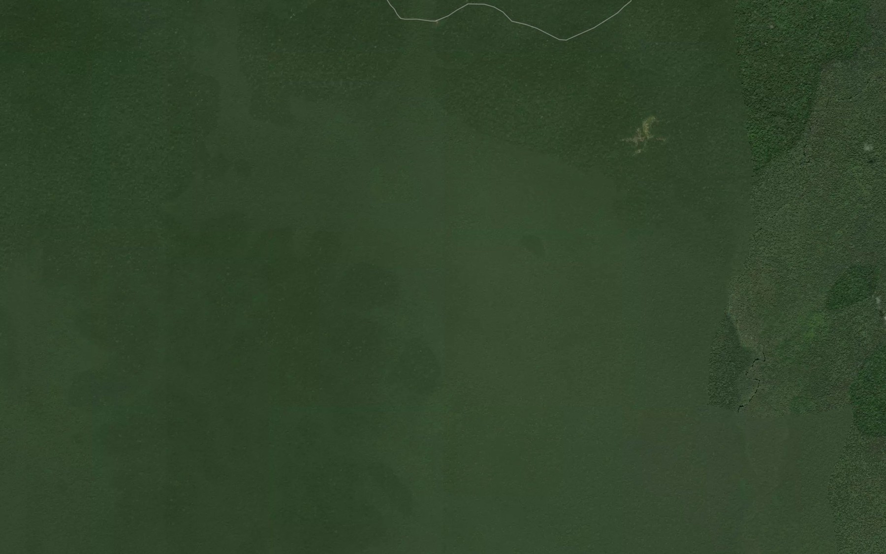 Satellite map of the Ongua