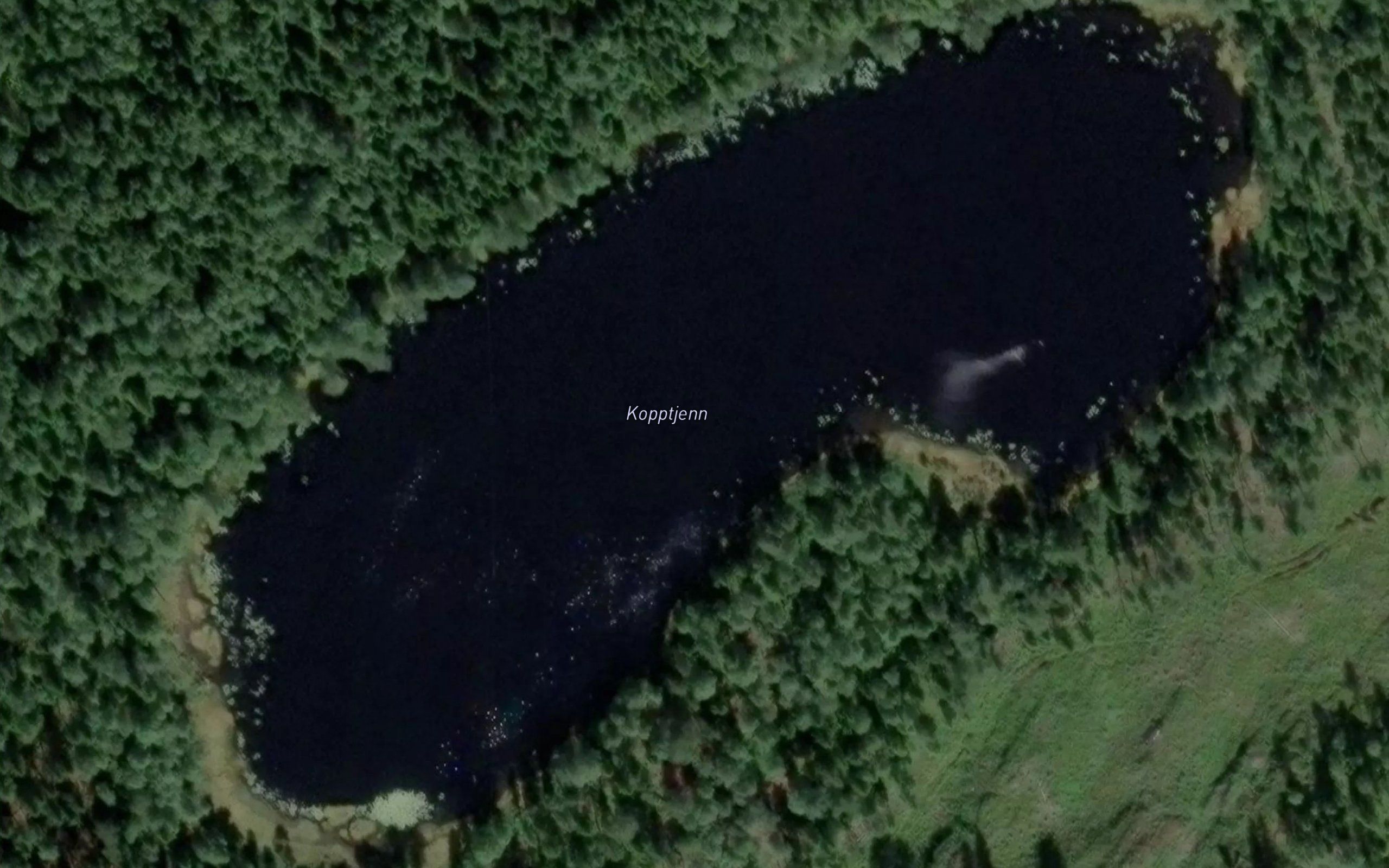 Kopptjern