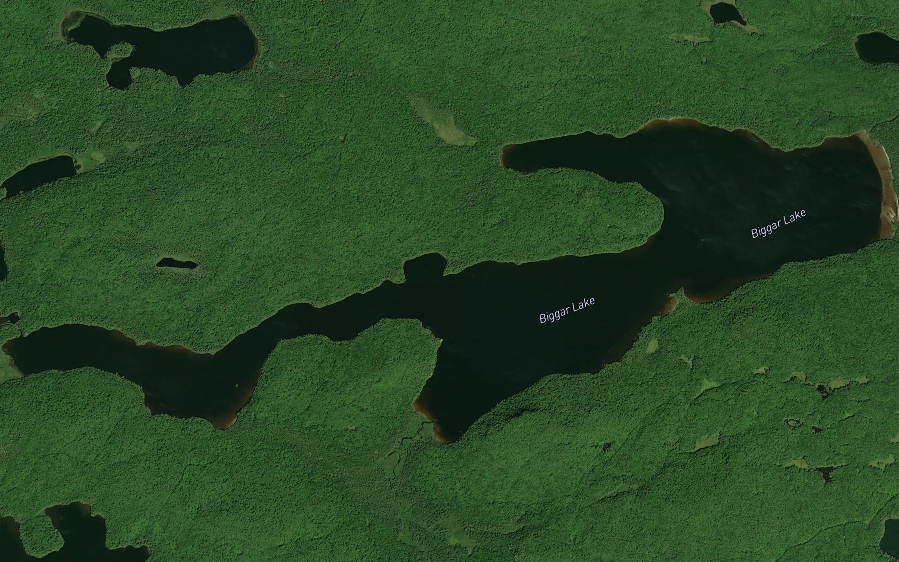 Satellite map of the Biggar Lake
