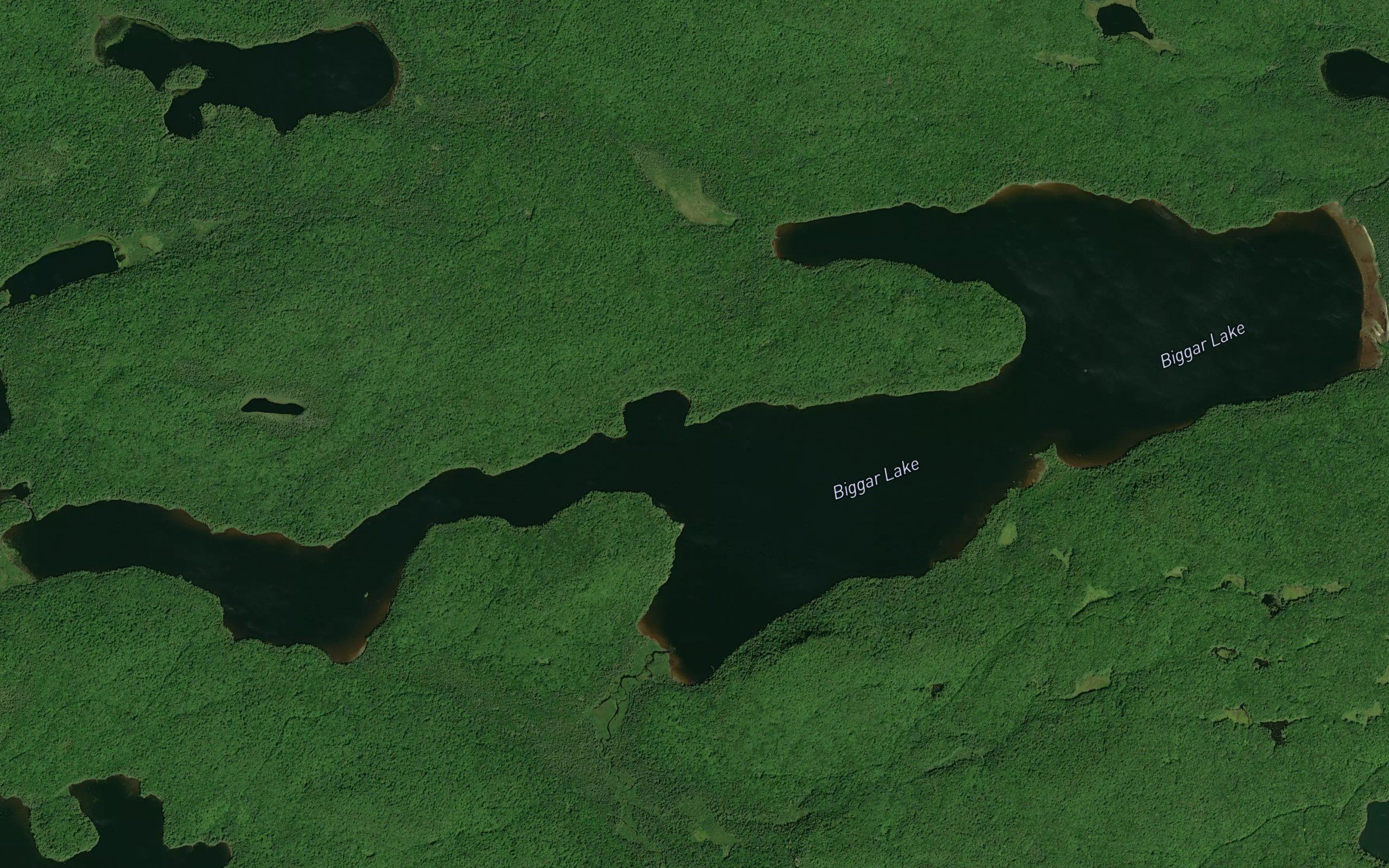 Biggar Lake