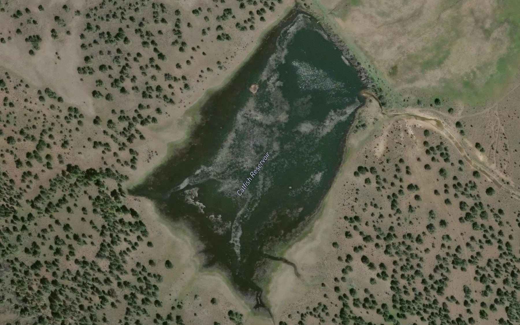 Satellite map of the Catfish Reservoir