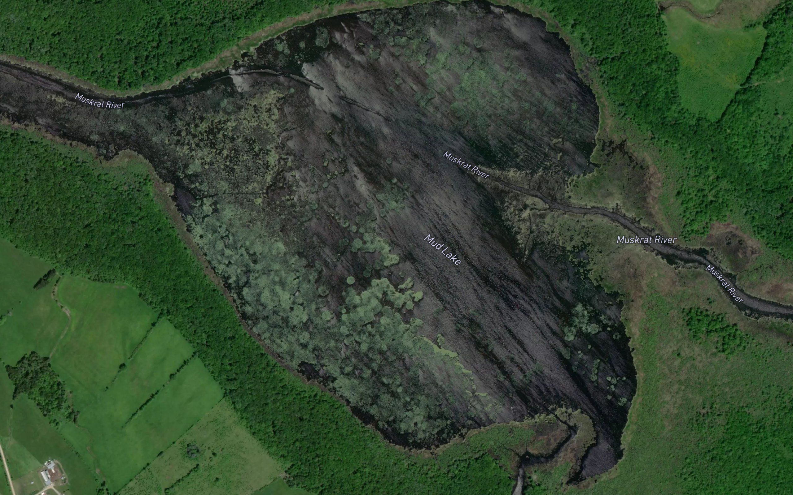 Mud Lake