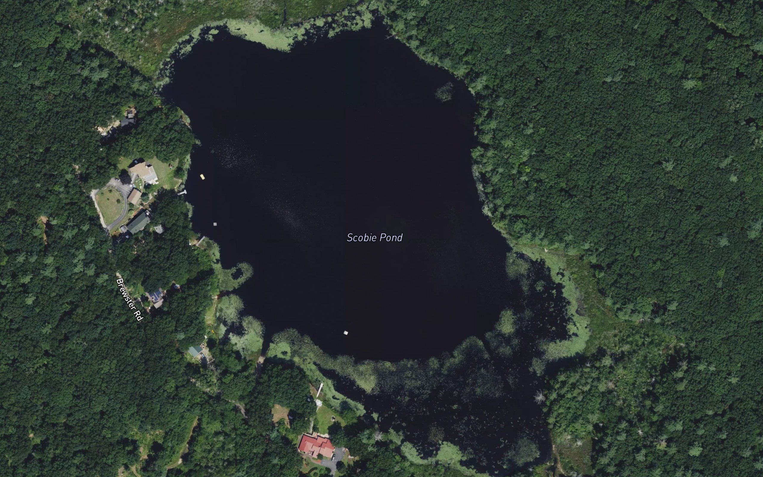 Scobie Pond