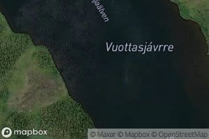 Vuottasjaure