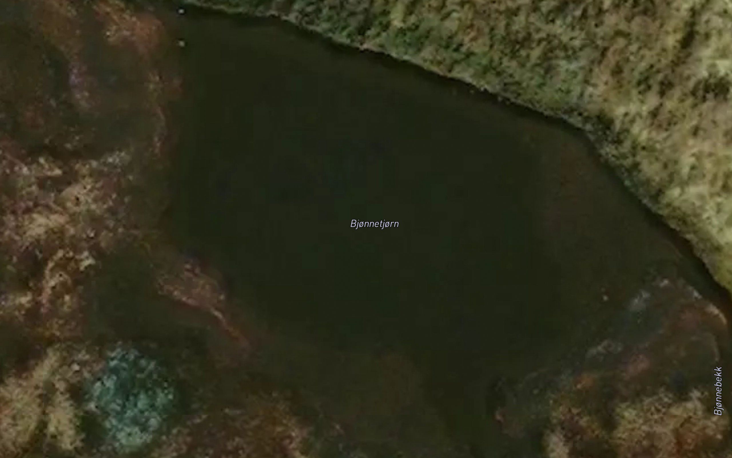 Bjonnetjorn