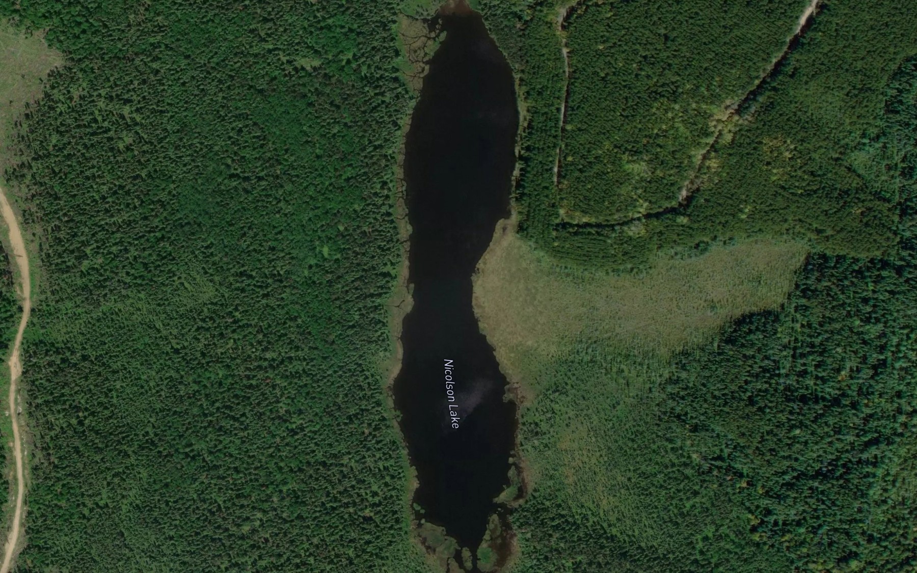 Satellite map of the Nicolson Lake