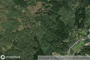 Midtbergsgrovi