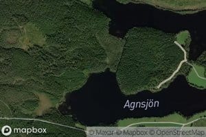 Langasjon