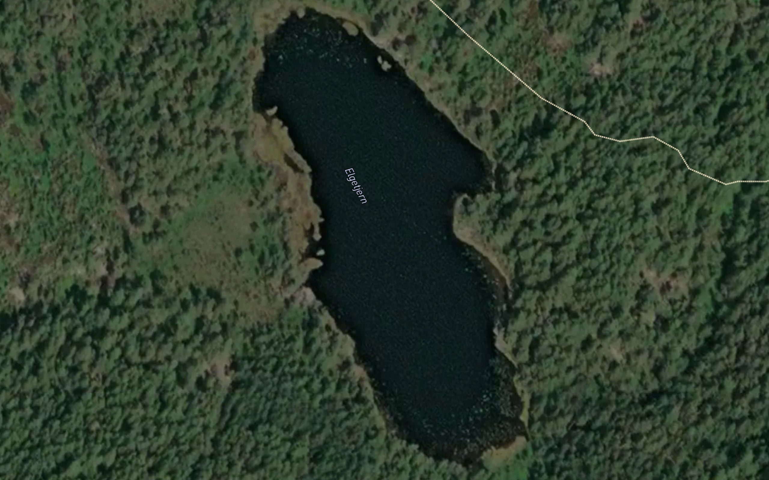 Elgetjern