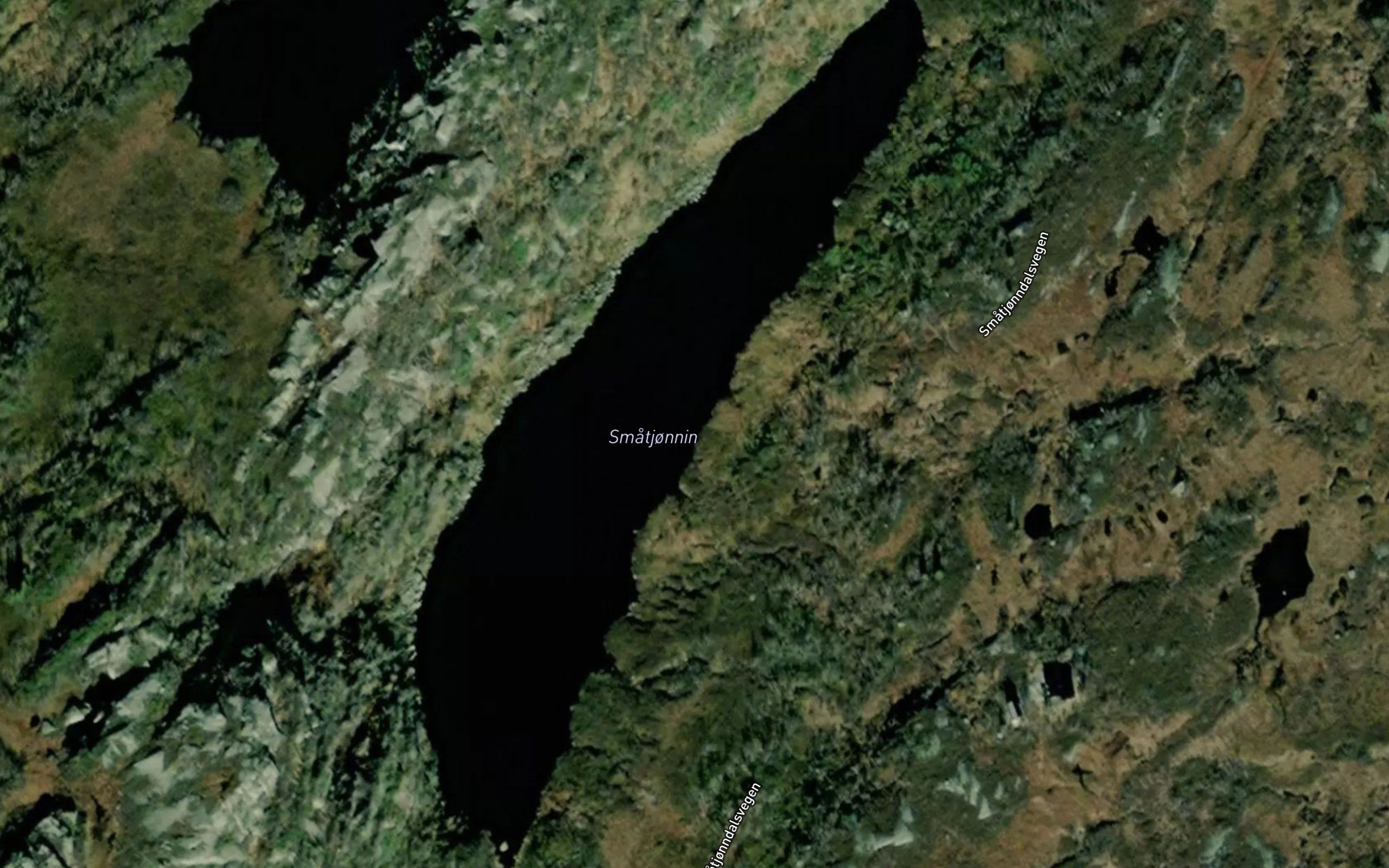 Smatjonnin