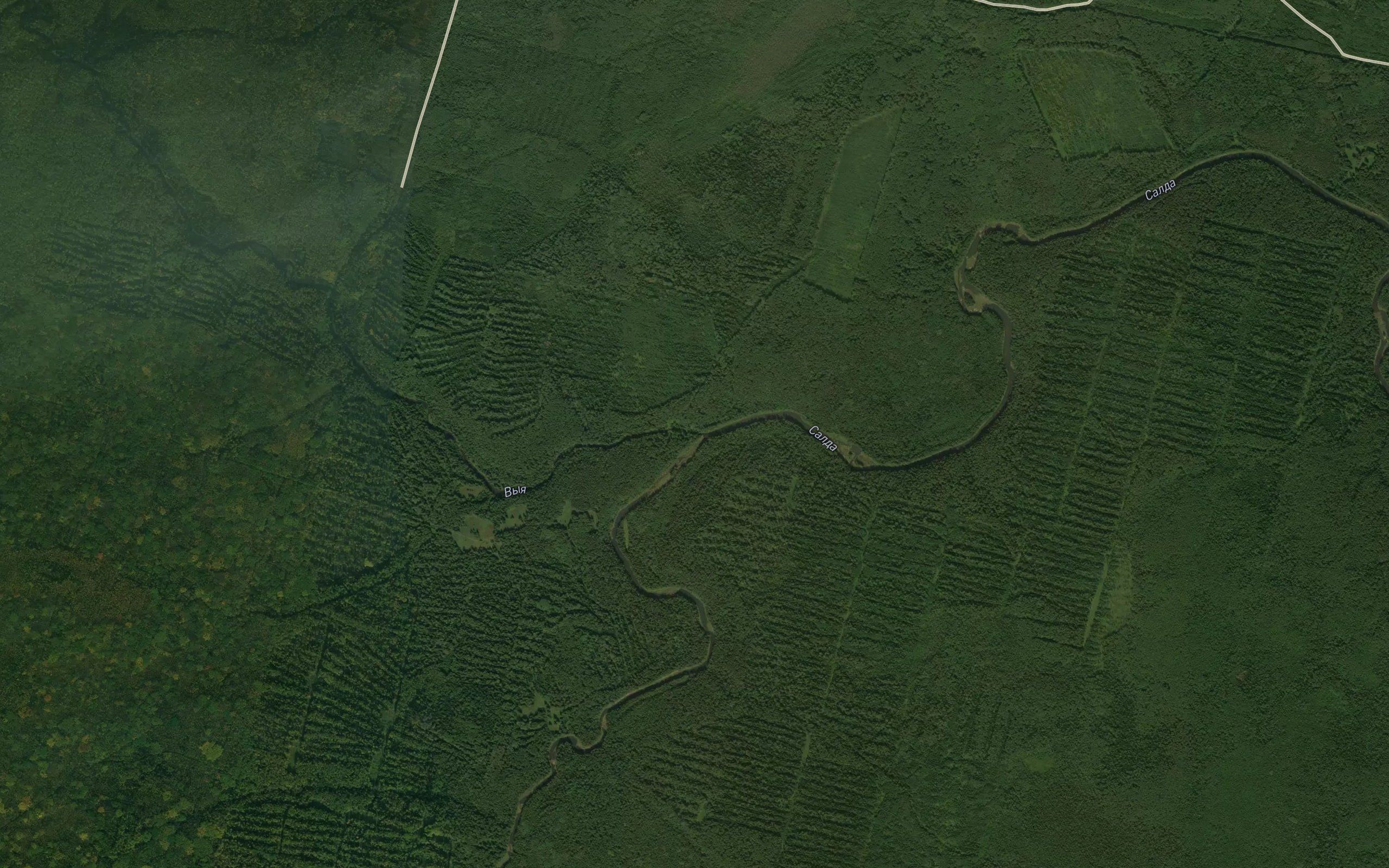 Vyya