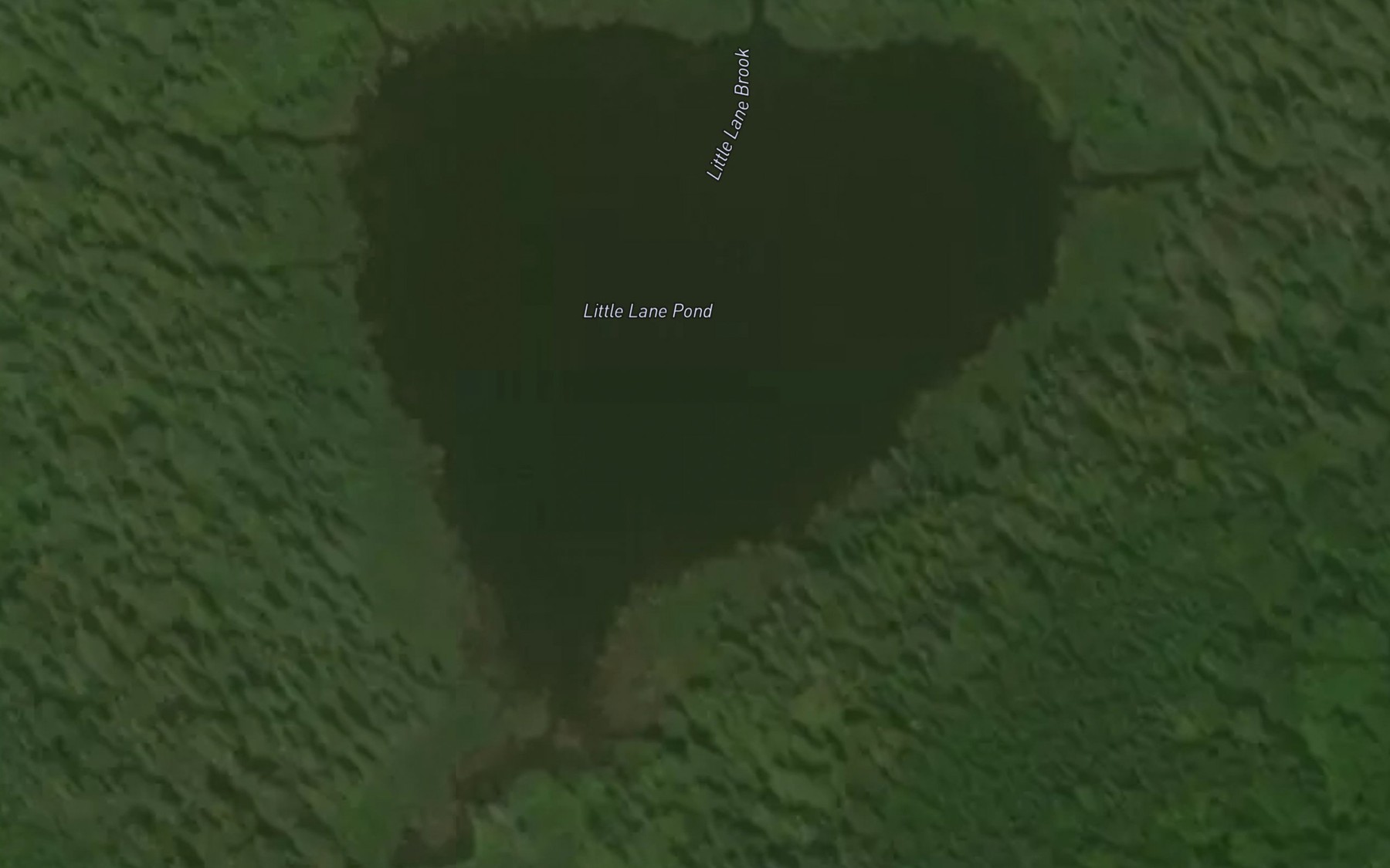Satellite map of the Little Lane Pond
