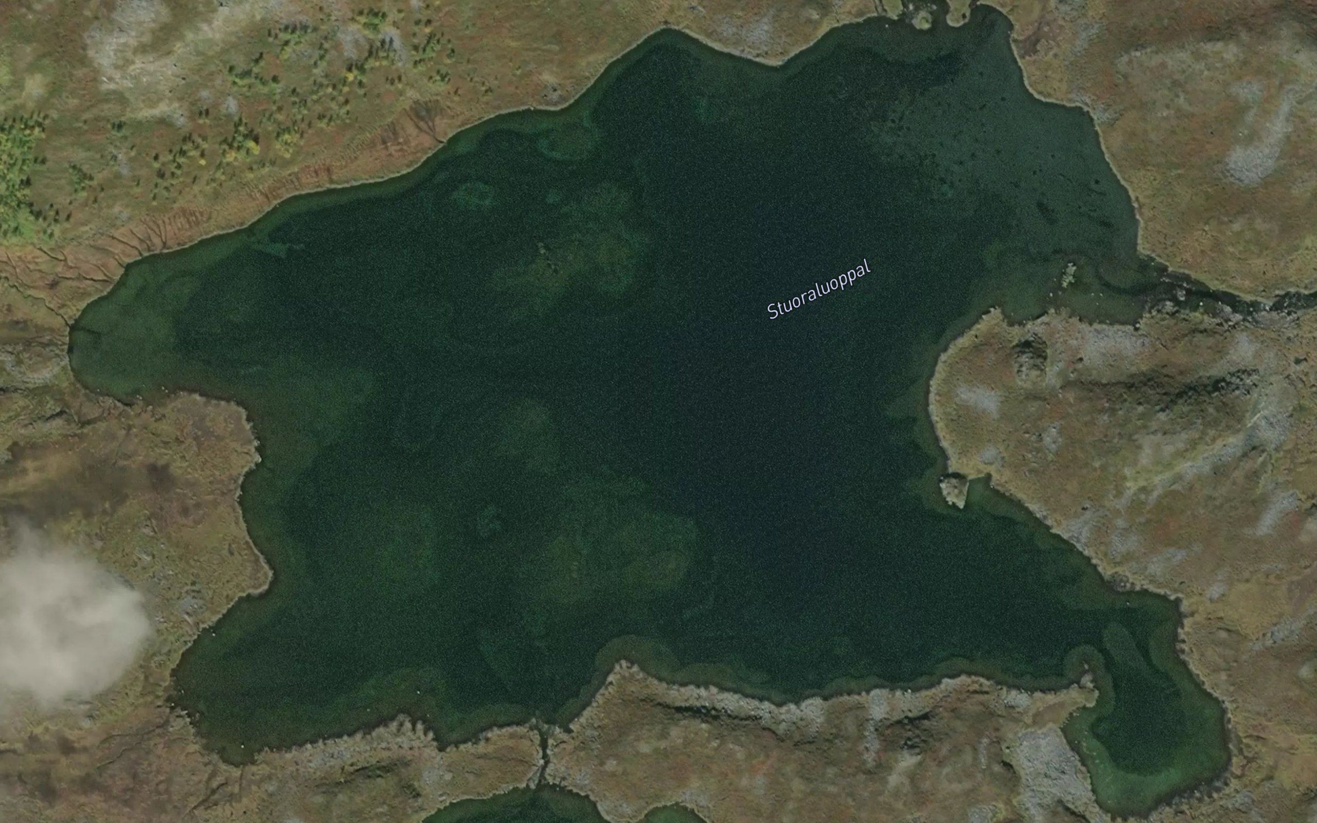 Stuoraluobbal