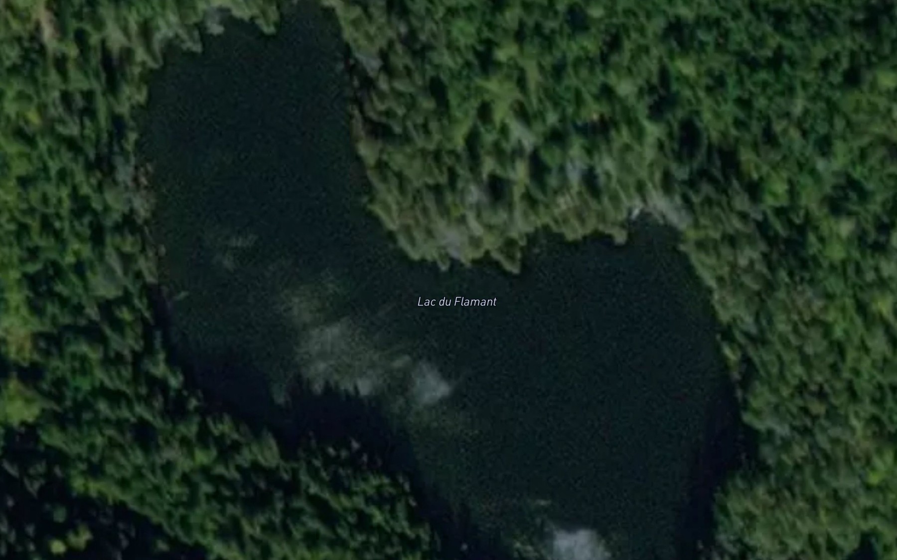 Satellite map of the Lac du Flamant