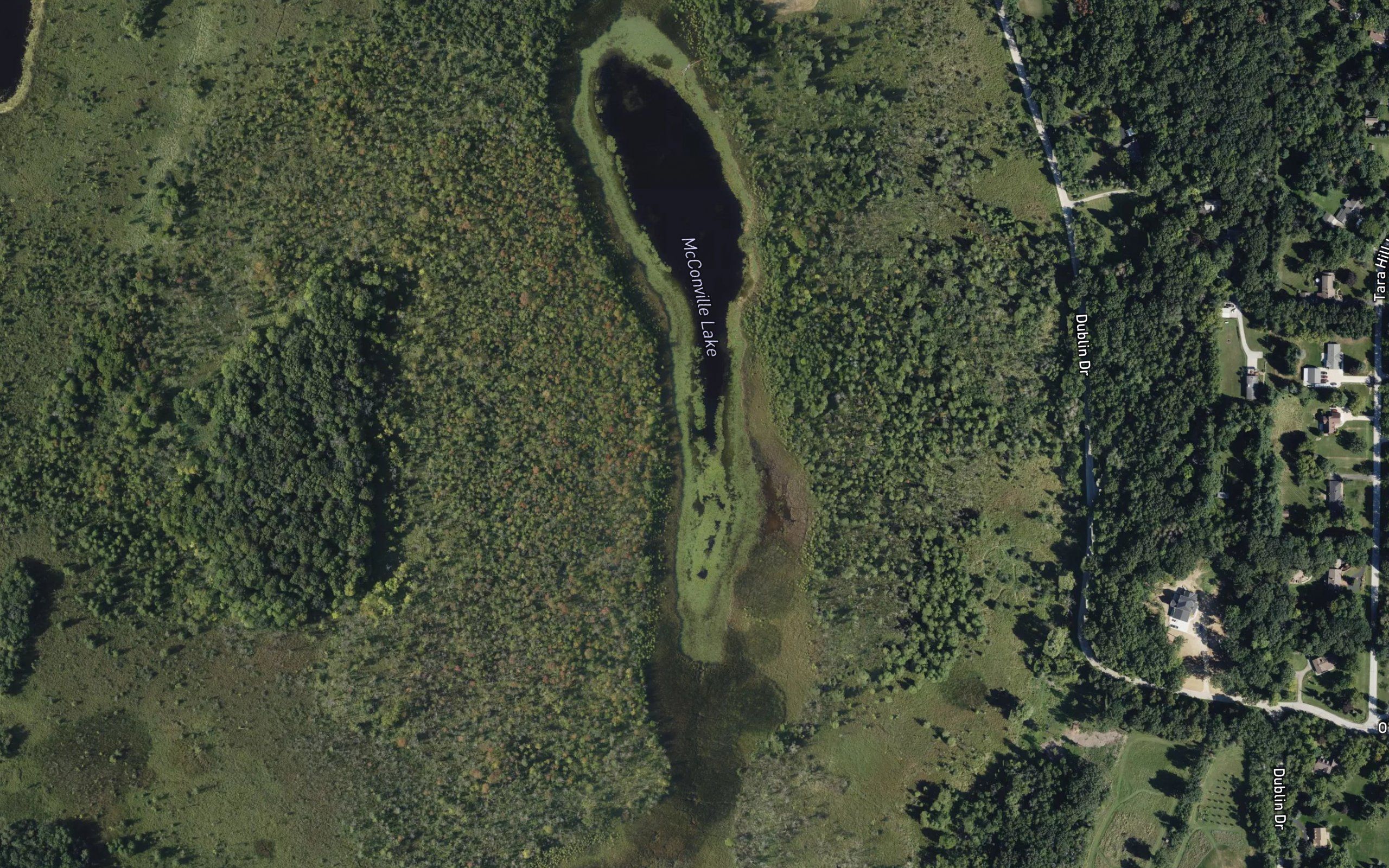 McConville Lake