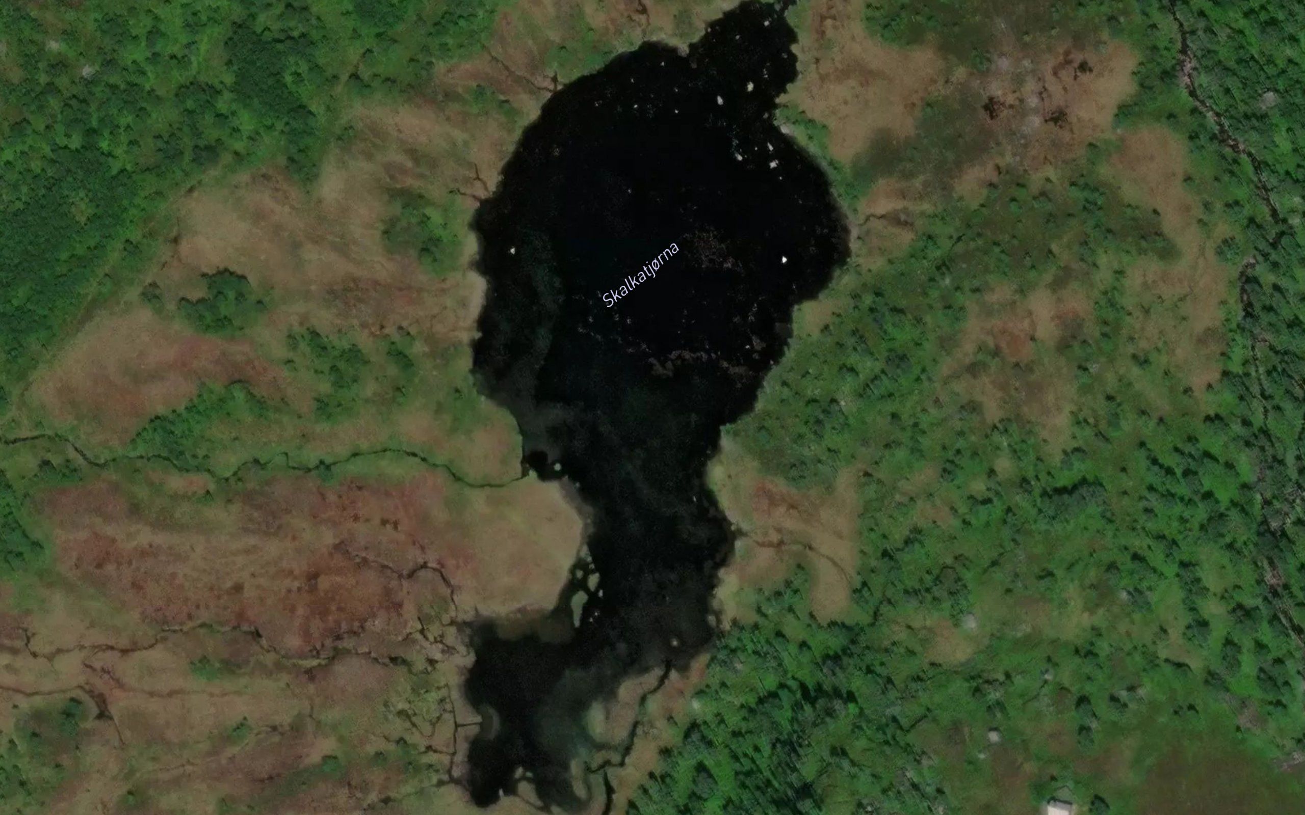 Skalkatjorna