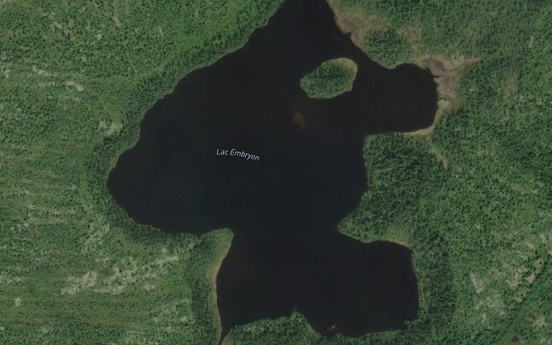 Satellite map of the Lac Embryon