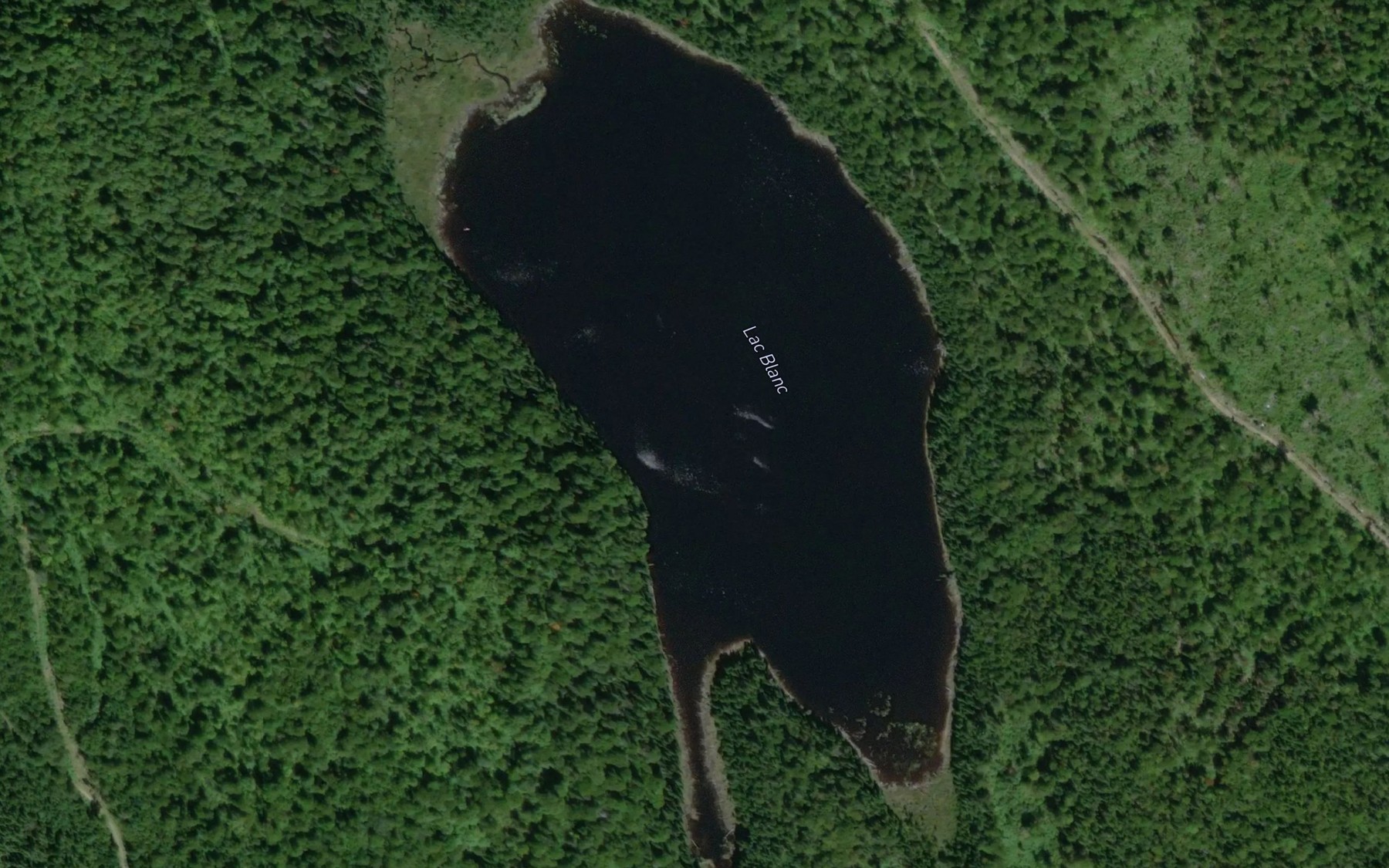 Satellite map of the Lac Blanc
