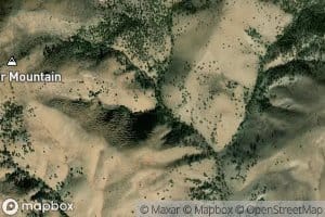 Cloverleaf Spring Number Two