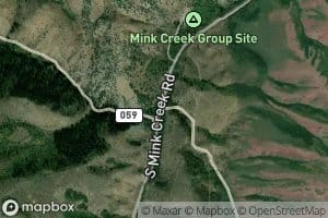 West Fork Mink Creek