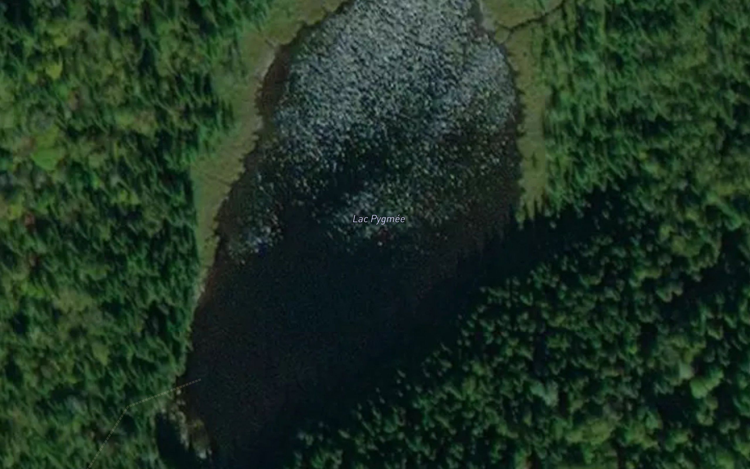 Lac Pygmee