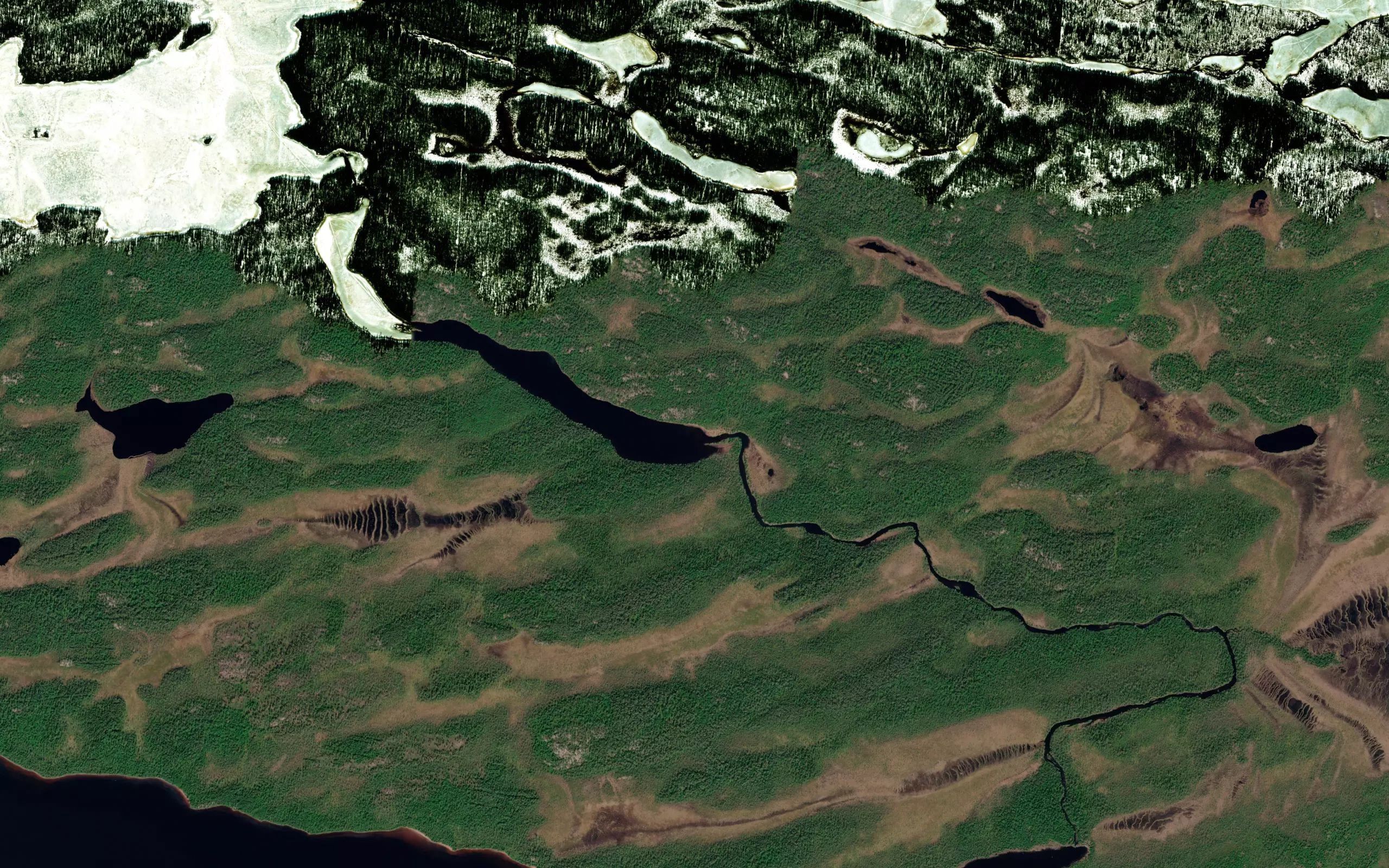 Domashnyaya