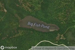 Big Fish Pond