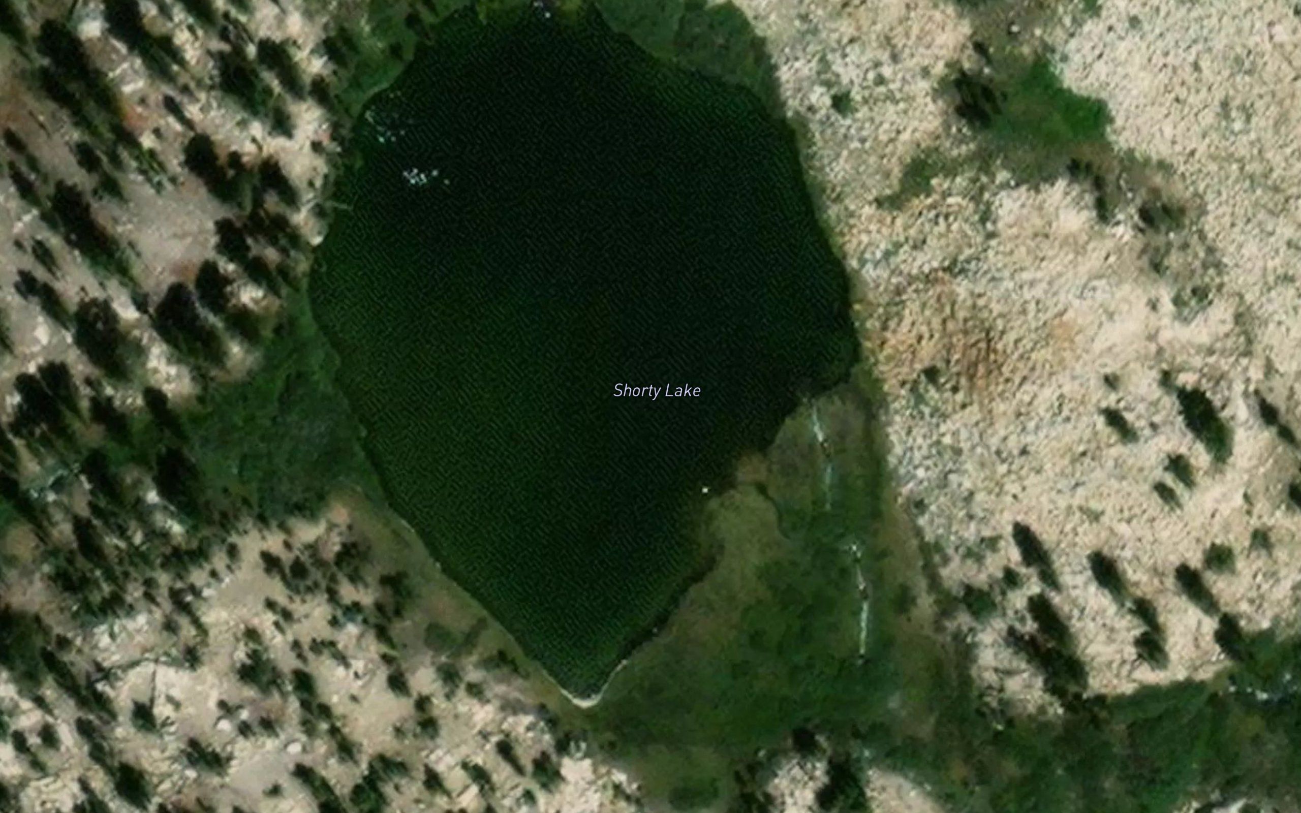 Shorty Lake