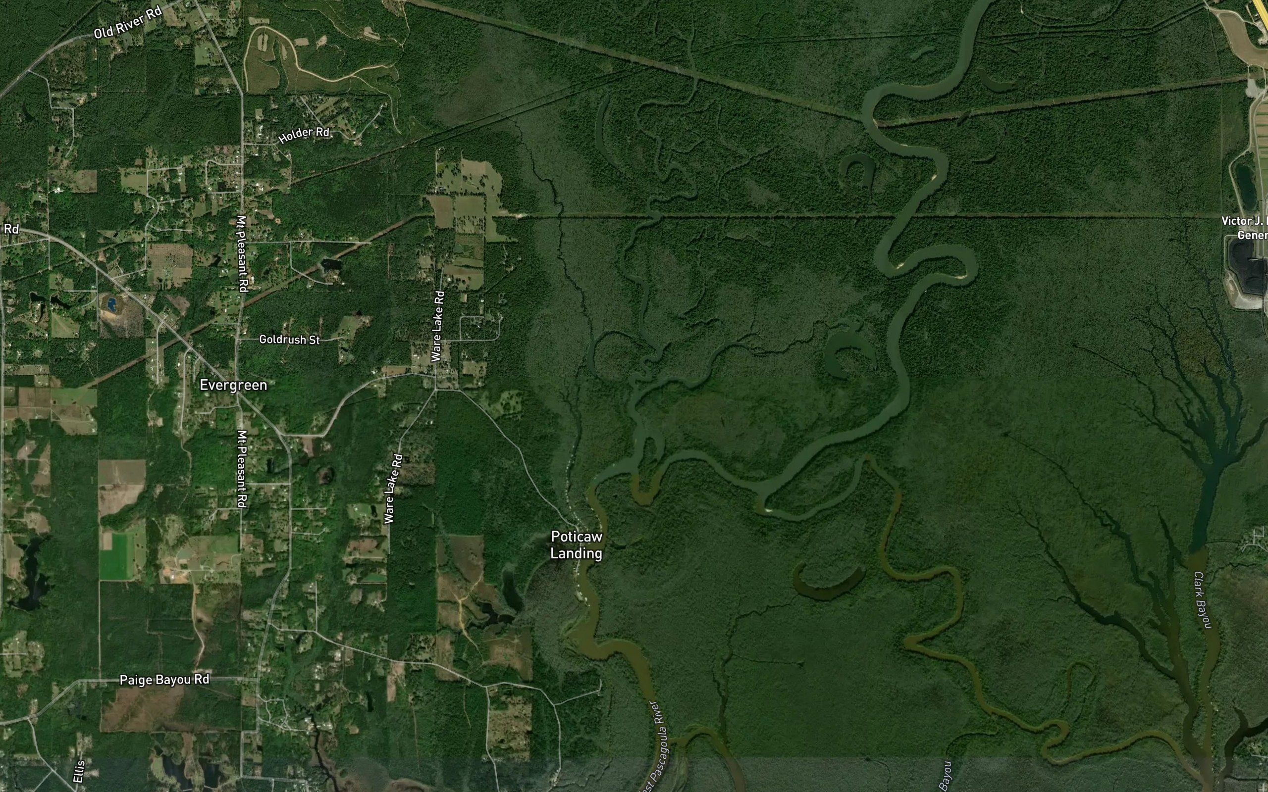 Ward Bayou