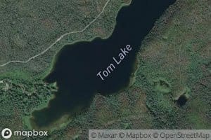 Tom Lake