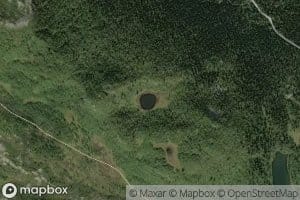 Tjuvholtjernet