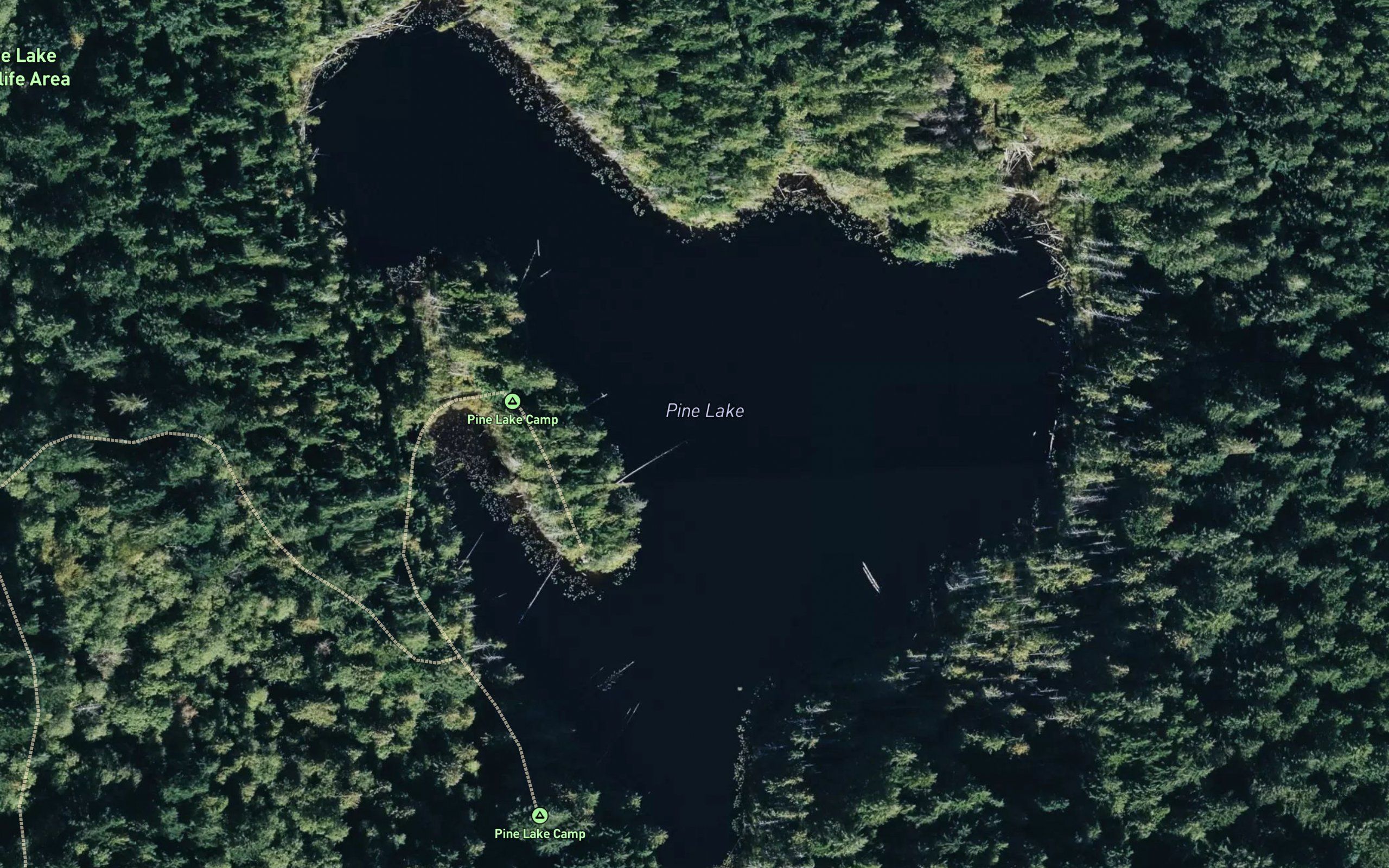 Pine Lake