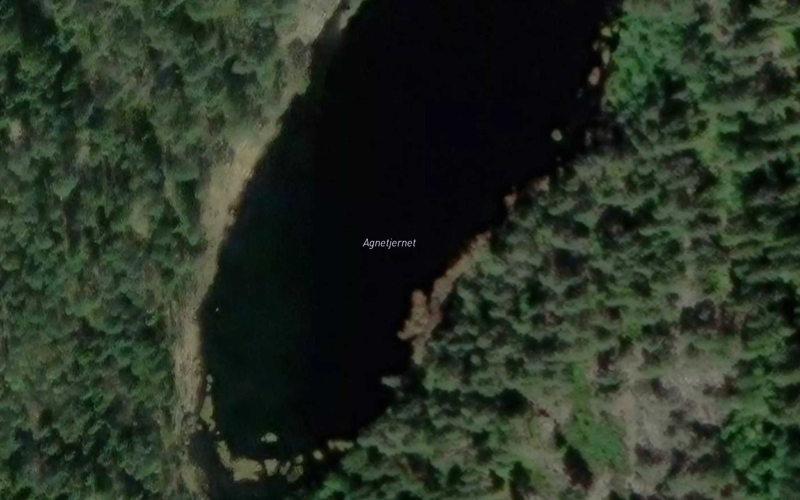 Agntjennet