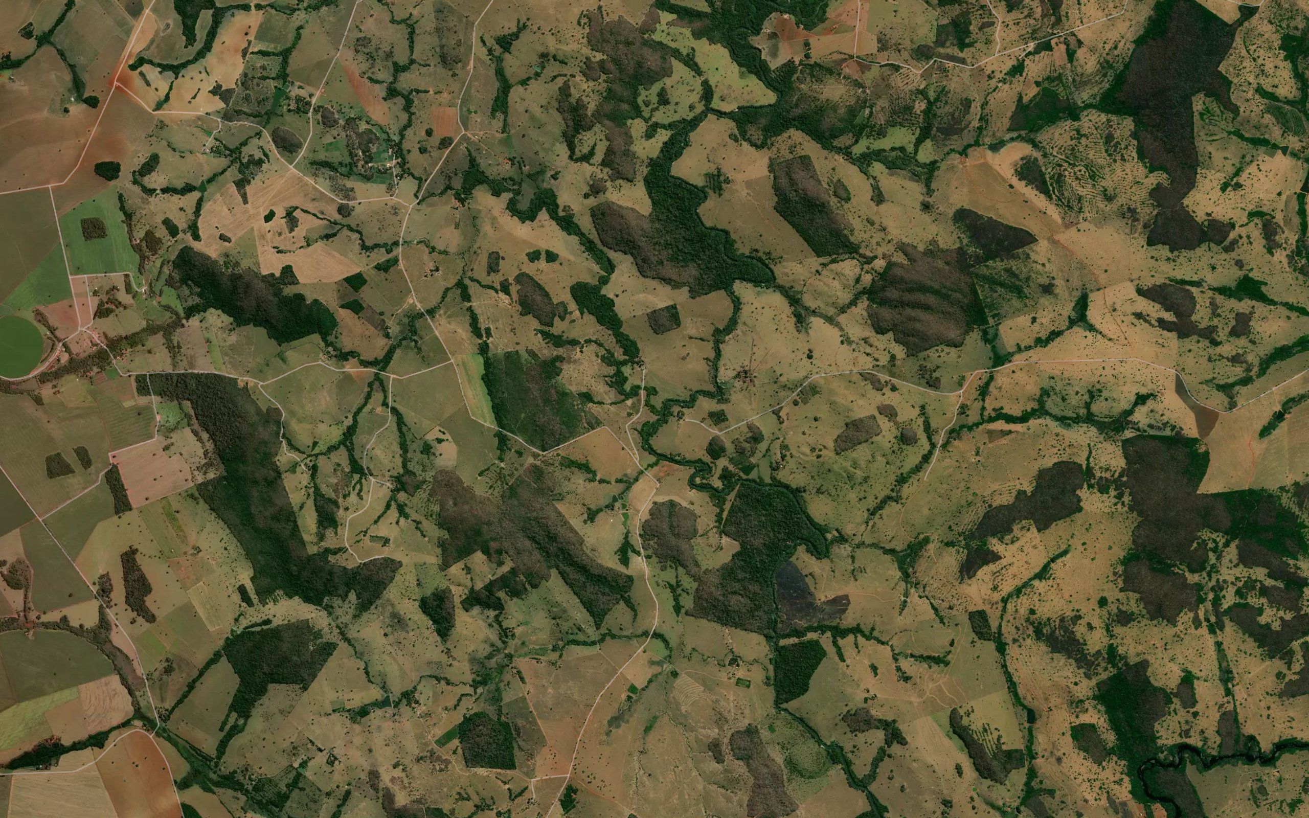Ribeirao Paraiso