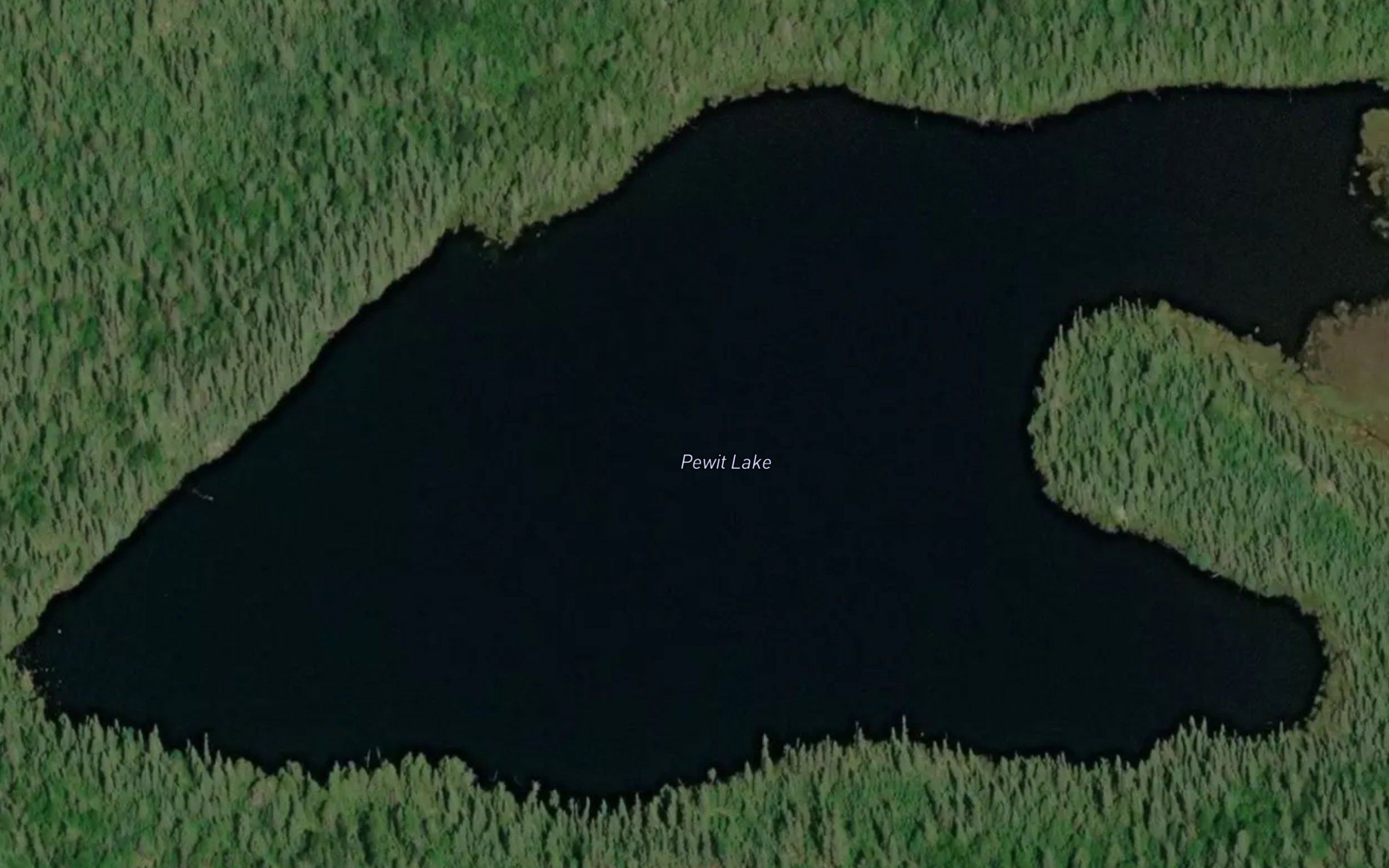 Pewit Lake