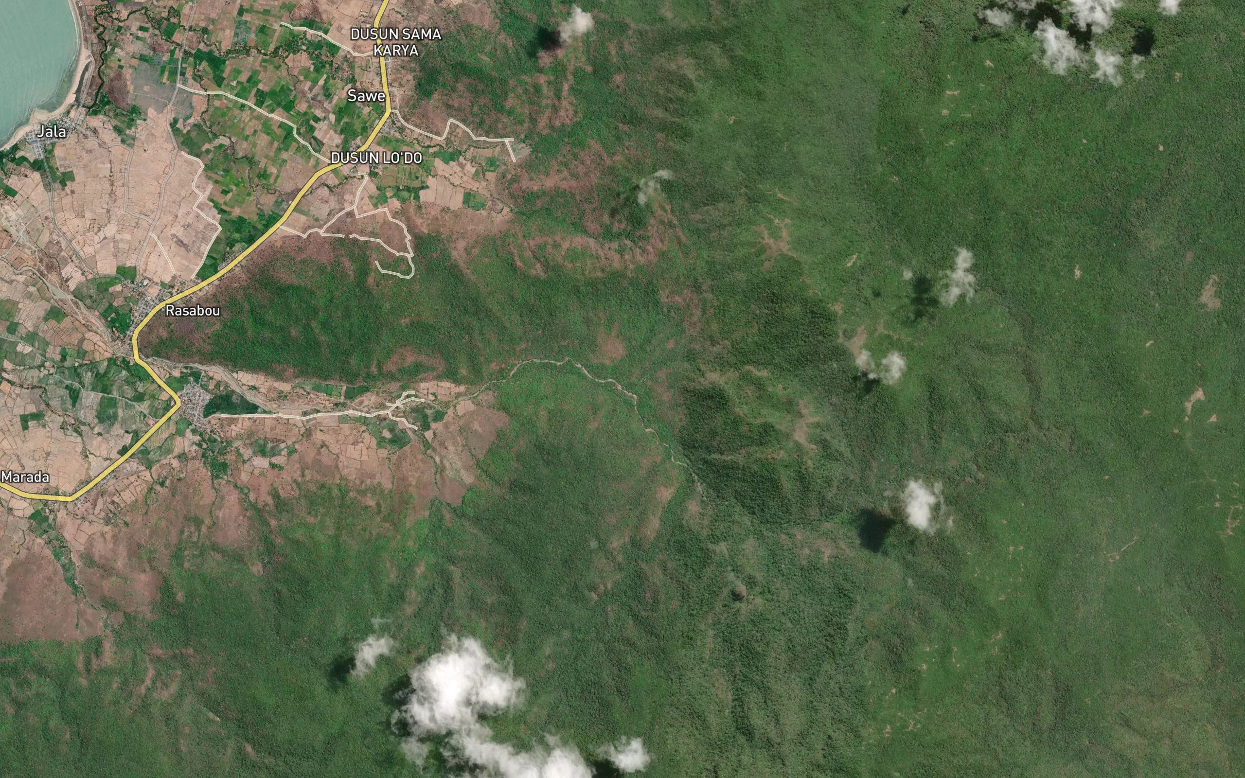 Sari Adu