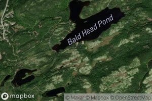 Bald Head Pond