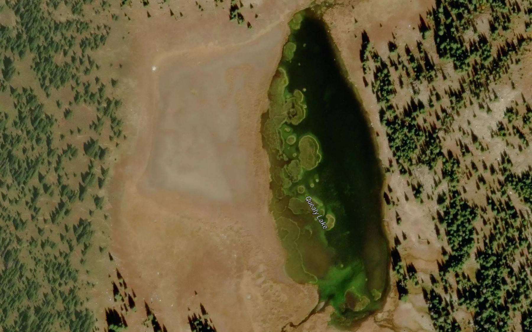 Satellite map of the Quealy Lake