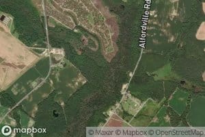 First Swamp